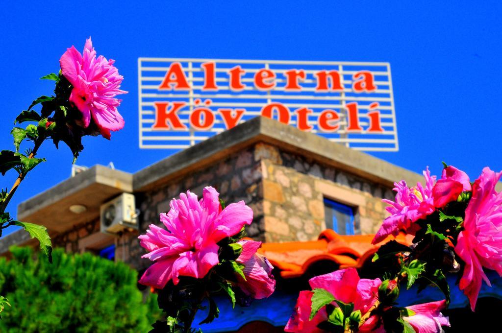 Alterna Koey Evi Guest House Ayvacik Екстериор снимка